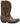 Golden Goose Wish Star boots