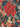 Pierre Louis Mascia Scarf