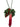032C 032C J.W.Anderson Accessories FUXIA