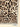 Dolce & Gabbana Leopardo Scarf