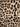 Dolce & Gabbana Leopardo Scarf