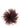 Gianluca Capannolo Feather Pin