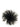 Gianluca Capannolo Feather Pin