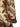 Farm Rio Majestic Garden Sand Dress