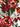 Dolce & Gabbana Floral Print Scarf