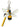 Mulberry Bumblebee Keyring