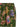 Etro Floral Print Trousers