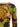 Etro Double-layer Mesh