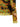 Etro Double-layer Mesh